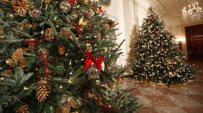 arbol-navidad-kKLC–1248x698abc